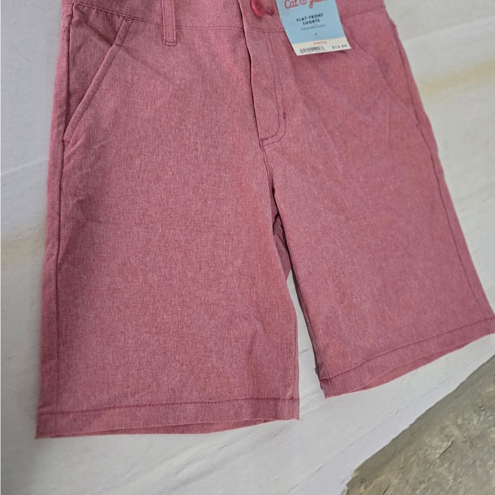 Cat & Jack Boy’s Pink Flat-Front Shorts